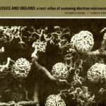 خرید و دانلود نسخه کامل کتاب Tissues and Organs: a text-atlas of scanning electron microscopy