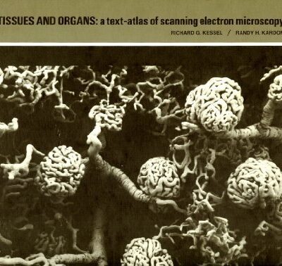خرید و دانلود نسخه کامل کتاب Tissues and Organs: a text-atlas of scanning electron microscopy