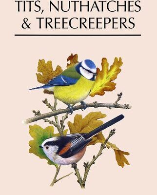 خرید و دانلود نسخه کامل کتاب Tits, Nuthatches and Creepers