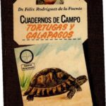 خرید و دانلود نسخه کامل کتاب Tortugas y galápagos