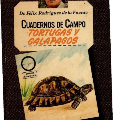 خرید و دانلود نسخه کامل کتاب Tortugas y galápagos