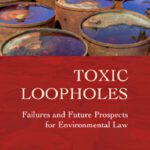 خرید و دانلود نسخه کامل کتاب Toxic Loopholes: Failures and Future Prospects for Environmental Law