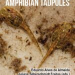 خرید و دانلود نسخه کامل کتاب Toxicology of Amphibian Tadpoles
