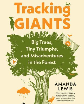 خرید و دانلود نسخه کامل کتاب Tracking Giants: Big Trees, Tiny Triumphs, and Misadventures in the Forest