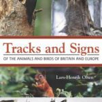 خرید و دانلود نسخه کامل کتاب Tracks and Signs of the Animals and Birds of Britain and Europe