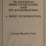 خرید و دانلود نسخه کامل کتاب Traditional Irish Literature and Its Backgrounds: A Brief Introduction. A Revision of “The Shadow of the Three Queens”