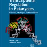 خرید و دانلود نسخه کامل کتاب Transcriptional Regulation in Eukaryotes: Concepts, Strategies, and Techniques