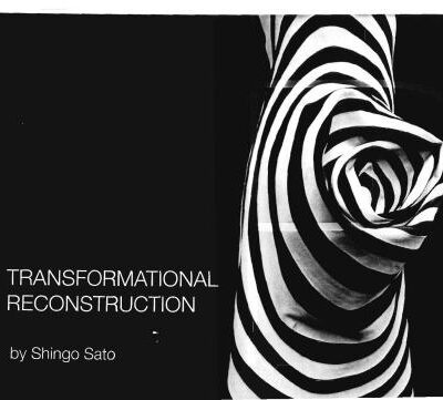 خرید و دانلود نسخه کامل کتاب Transformational reconstruction Shingo Sato