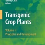 خرید و دانلود نسخه کامل کتاب Transgenic Crop Plants. Volume 1: Principles and Development