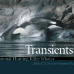 خرید و دانلود نسخه کامل کتاب Transients: mammal-hunting killer whales of British Columbia, Washington, and Southeastern Alaska
