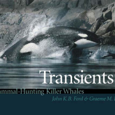 خرید و دانلود نسخه کامل کتاب Transients: mammal-hunting killer whales of British Columbia, Washington, and Southeastern Alaska