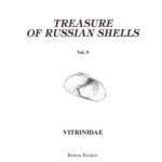 خرید و دانلود نسخه کامل کتاب Treasure of Russian shells. Vitridae
