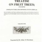 خرید و دانلود نسخه کامل کتاب Treatise on fruit trees: including their pictures, descriptions, cultivations, &c. Volume I
