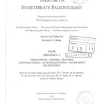 خرید و دانلود نسخه کامل کتاب Treatise on Invertebrate Paleontology – Part K – Mollusca 3 – Cephalopoda