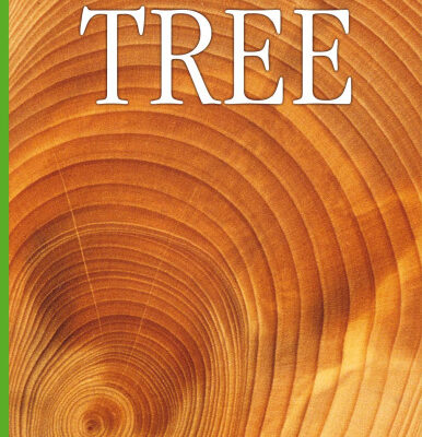 خرید و دانلود نسخه کامل کتاب Tree (Eyewitness)