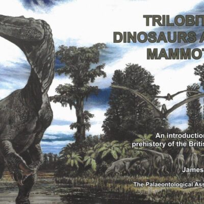 خرید و دانلود نسخه کامل کتاب Trilobites, Dinosaurs and Mammoths An Introduction to the Prehistory of the British Isles