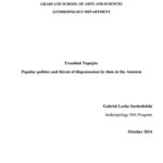 خرید و دانلود نسخه کامل کتاب Troubled Tapajós – Popular Politics and Threat of Disposession by Dam in the Amazon