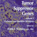 خرید و دانلود نسخه کامل کتاب Tumor Suppressor Genes Vol 1: Pathways and Isolation Strategies (Methods in Molecular Biology Vol 222)