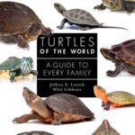 خرید و دانلود نسخه کامل کتاب Turtles of the World: A Guide to Every Family