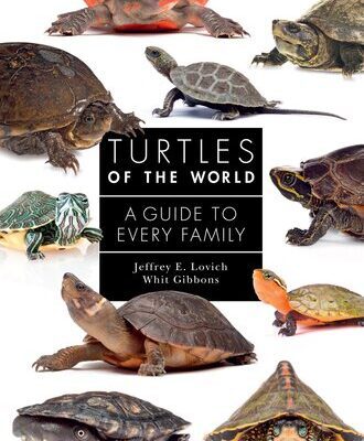 خرید و دانلود نسخه کامل کتاب Turtles of the World: A Guide to Every Family