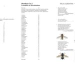 خرید و دانلود نسخه کامل کتاب Tvåvingar. Blomflugor : Diptera : Syrphidae : Syrphinae – Eristalinae