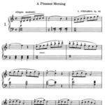 خرید و دانلود نسخه کامل کتاب Twelve very easy and melodious Studies Op. 63