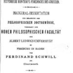 خرید و دانلود نسخه کامل کتاب Über das Verhältniss [Verhältnis] der Texte der Histoire de mon temps Friedrichs des Großen