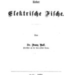 خرید و دانلود نسخه کامل کتاب Über elektrische Fische