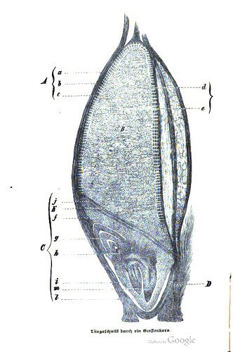 خرید و دانلود نسخه کامل کتاب Ueber die Chemie des Bieres vom Gerstenkorn bis Fertigstellung. Allgemein verständlicher Vortrag, gehalten im Hamburger Bezirksverein deutscher Ingenieure_68f5cf855c025.jpeg خرید و دانلود نسخه کامل کتاب Ueber die Chemie des Bieres vom Gerstenkorn bis Fertigstellung. Allgemein verständlicher Vortrag, gehalten im Hamburger Bezirksverein deutscher Ingenieure