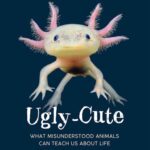 خرید و دانلود نسخه کامل کتاب Ugly-Cute : What Misunderstood Animals Can Teach Us About Life