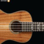 خرید و دانلود نسخه کامل کتاب Ukulele Songs