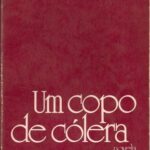 خرید و دانلود نسخه کامل کتاب Um Copo de Cólera