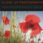 خرید و دانلود نسخه کامل کتاب Understanding Close-up Photography: Creative Close Encounters with or without a Macro Lens