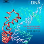 خرید و دانلود نسخه کامل کتاب Understanding DNA-The Molecule and How It Works