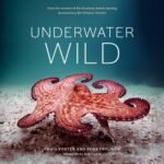 خرید و دانلود نسخه کامل کتاب Underwater Wild: My Octopus Teacher’s Extraordinary World
