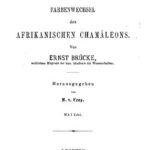 خرید و دانلود نسخه کامل کتاب Untersuchungen über den Farbenwechsel  des afrikanischen Chamäleons