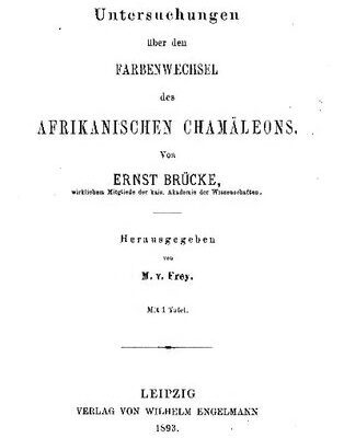 خرید و دانلود نسخه کامل کتاب Untersuchungen über den Farbenwechsel  des afrikanischen Chamäleons
