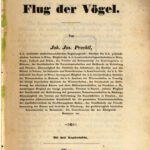 خرید و دانلود نسخه کامل کتاب Untersuchungen über den Flug der Vögel