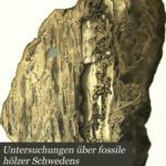 خرید و دانلود نسخه کامل کتاب Untersuchungen über fossile Hölzer Schwedens