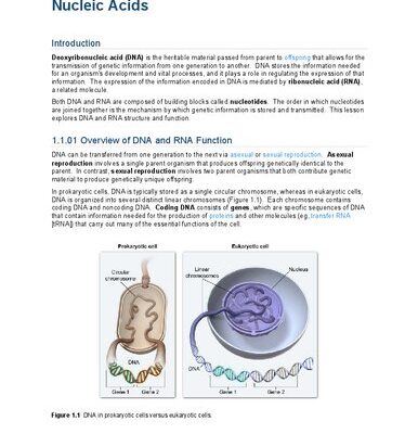 خرید و دانلود نسخه کامل کتاب UWorld MCAT Biology