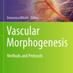 خرید و دانلود نسخه کامل کتاب Vascular Morphogenesis: Methods and Protocols