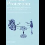 خرید و دانلود نسخه کامل کتاب Vascular Protection: Molecular Mechanisms, Novel Therapeutic Principles and Clinical Applications (Endothelial Cell Research)