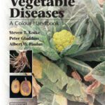خرید و دانلود نسخه کامل کتاب Vegetable Diseases: A Colour Handbook