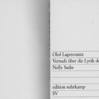 خرید و دانلود نسخه کامل کتاب Versuch über die Lyrik der Nelly Sachs