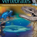 خرید و دانلود نسخه کامل کتاب Vertebrates: Comparative Anatomy, Function, Evolution – 6e