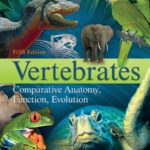 خرید و دانلود نسخه کامل کتاب Vertebrates: Comparative Anatomy, Function, Evolution – 5e