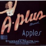 خرید و دانلود نسخه کامل کتاب Vintage Crate Labels 20’s-50’s JodieBlond