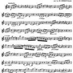 خرید و دانلود نسخه کامل کتاب Violin part