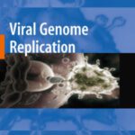 خرید و دانلود نسخه کامل کتاب Viral Genome Replication