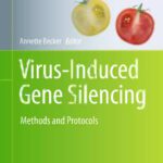 خرید و دانلود نسخه کامل کتاب Virus-Induced Gene Silencing: Methods and Protocols